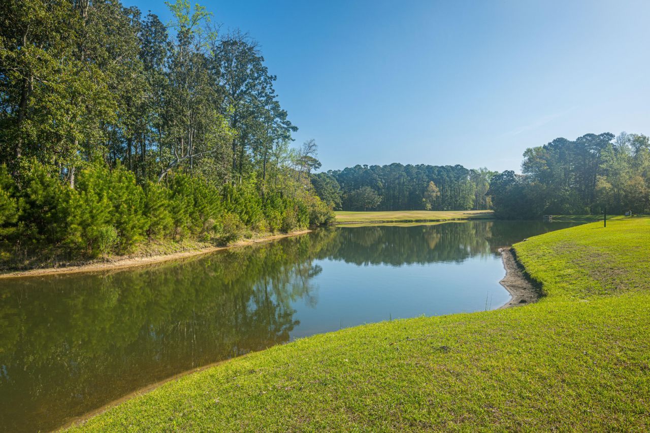 6228 Woodsedge Court Photo 53