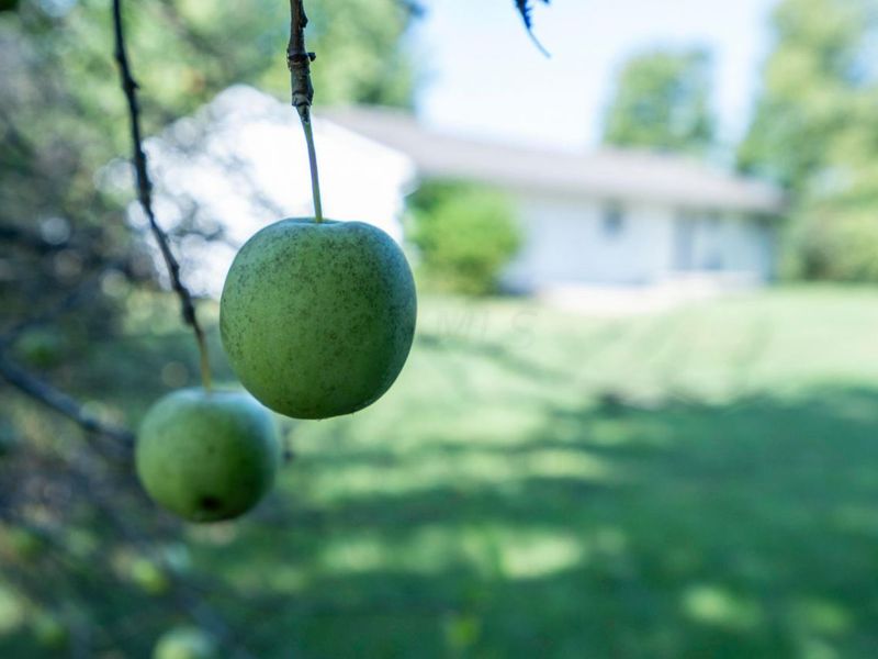 392 Hickory Lane , Washington Court House, OH 43160 Photo 29