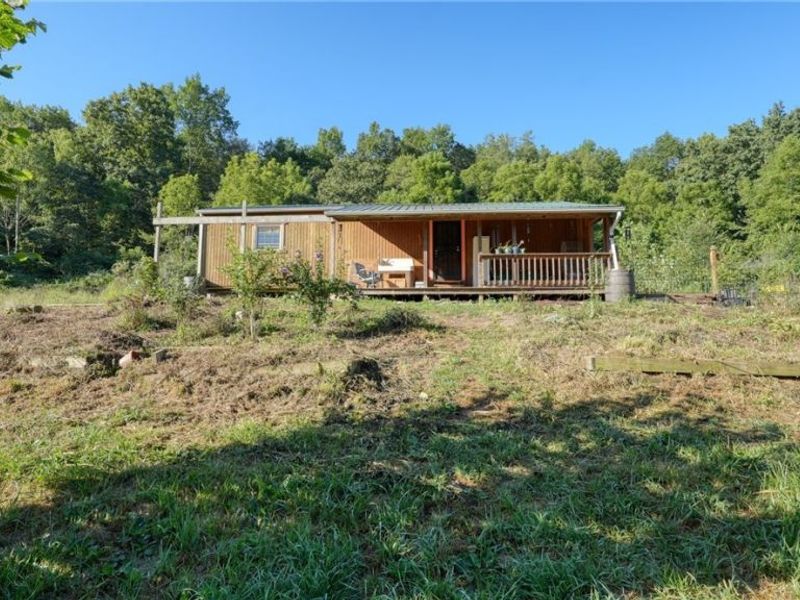 60040 Bliss Road, New Concord, OH 43762 Photo 2