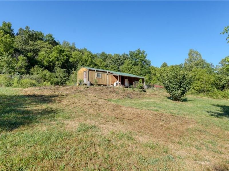 60040 Bliss Road, New Concord, OH 43762 Photo 20