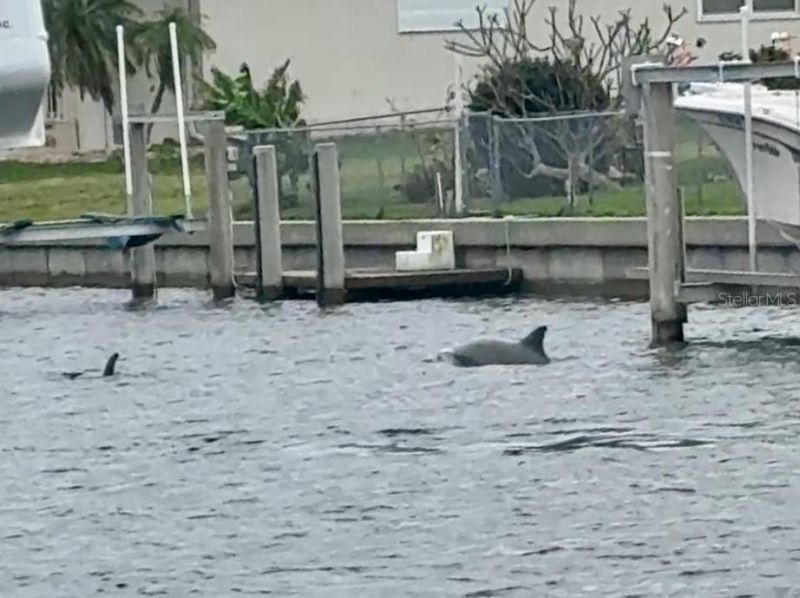 391 Via Esplanade, Punta Gorda, FL 33950 Photo