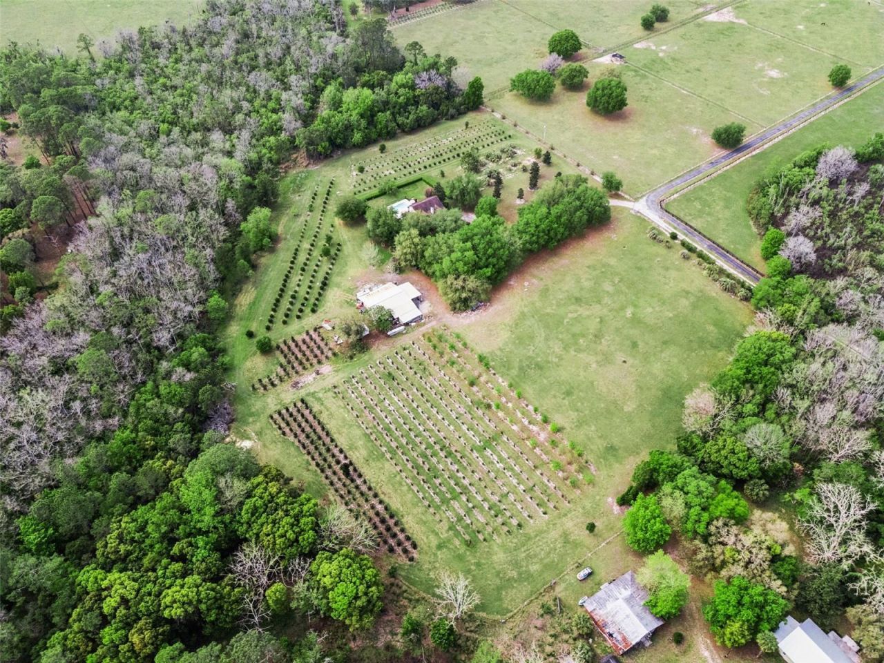 3466 Cross Branch Road , Deland, FL 32724 Photo