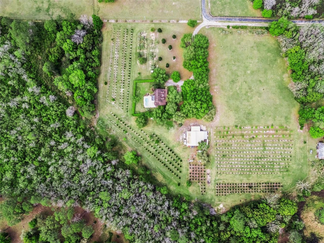 3466 Cross Branch Road , Deland, FL 32724 Photo