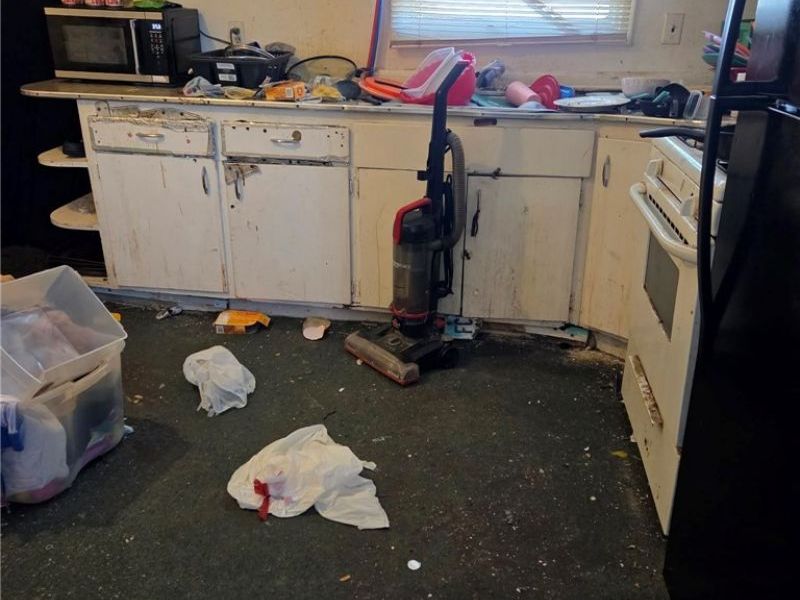 1335 Peck Street, Toledo, OH 43608 Photo 11