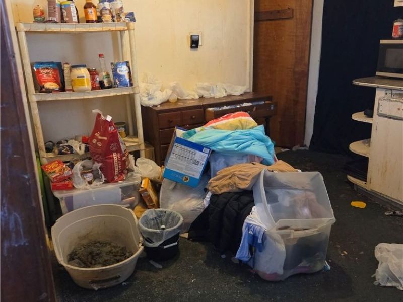 1335 Peck Street, Toledo, OH 43608 Photo 12