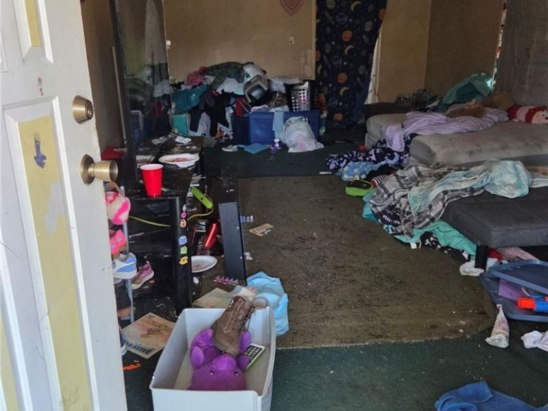 1335 Peck Street, Toledo, OH 43608 Photo 13