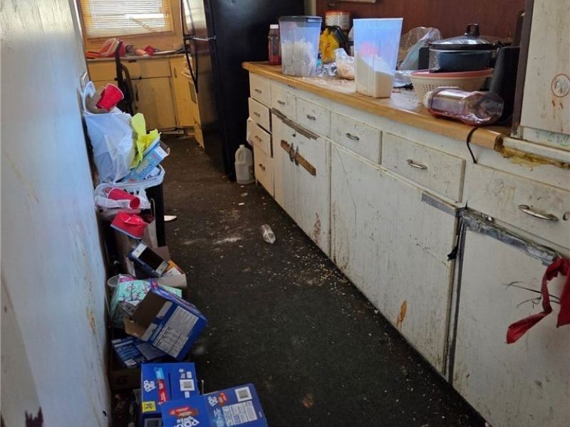 1335 Peck Street, Toledo, OH 43608 Photo 14