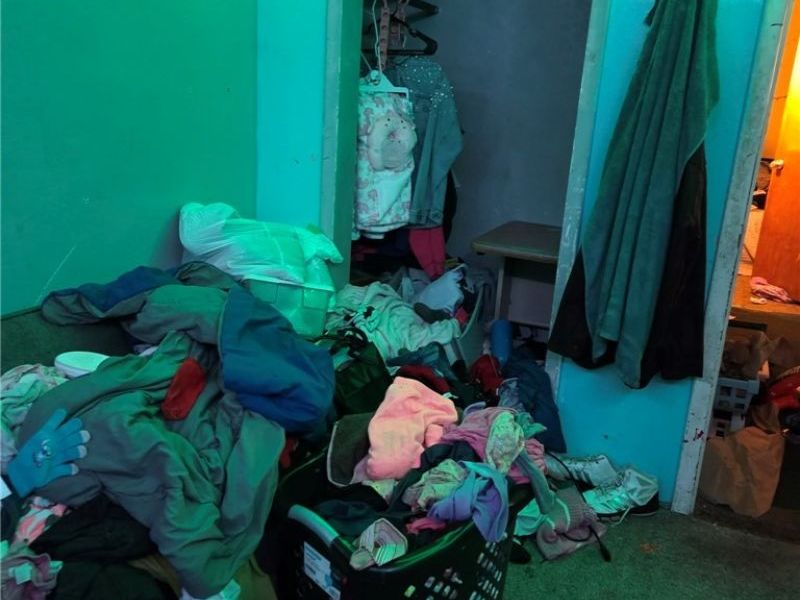 1335 Peck Street, Toledo, OH 43608 Photo 17