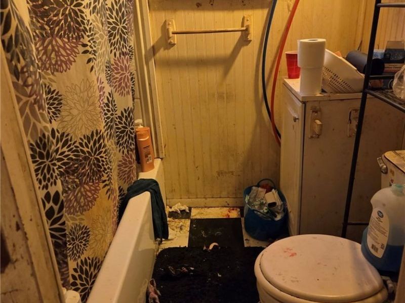 1335 Peck Street, Toledo, OH 43608 Photo 8