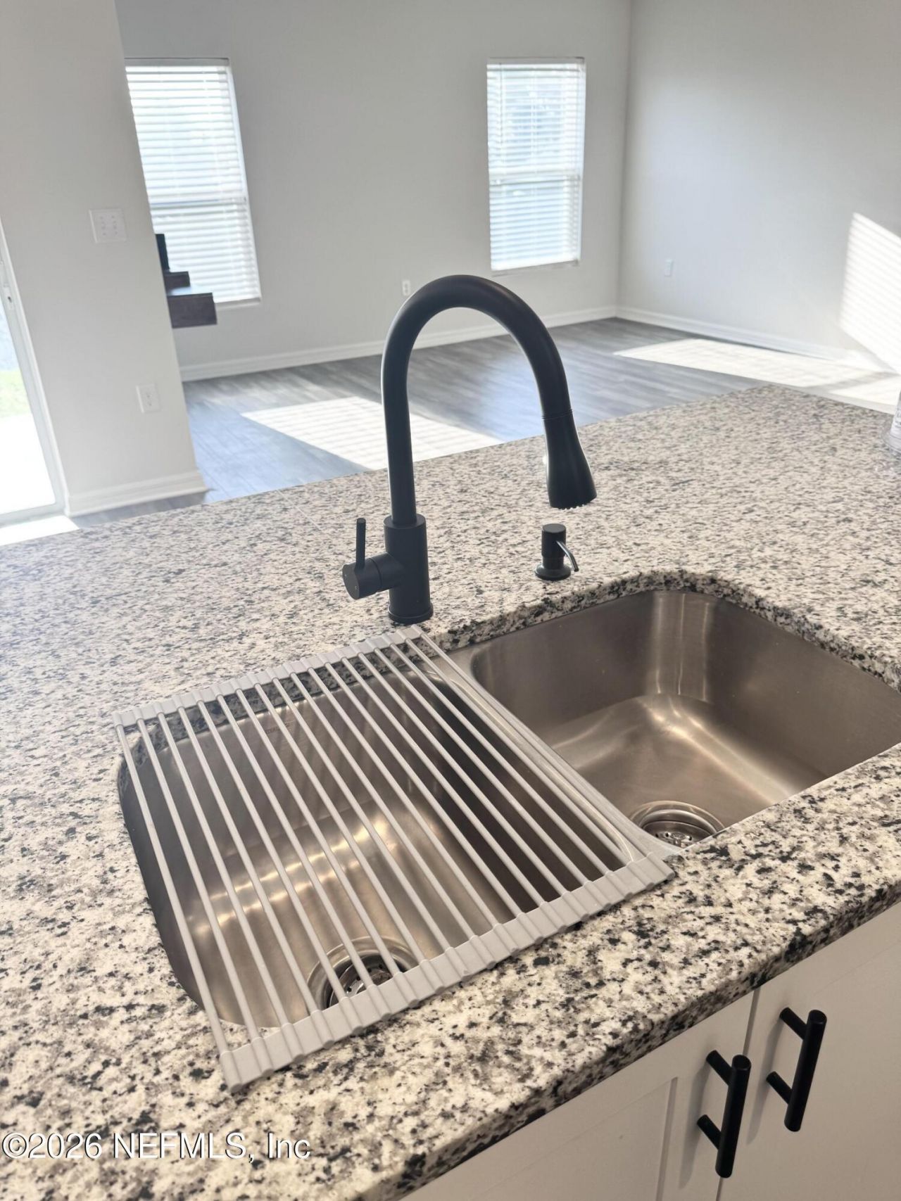 575 River Hill Drive, Welaka, FL 32193 Photo