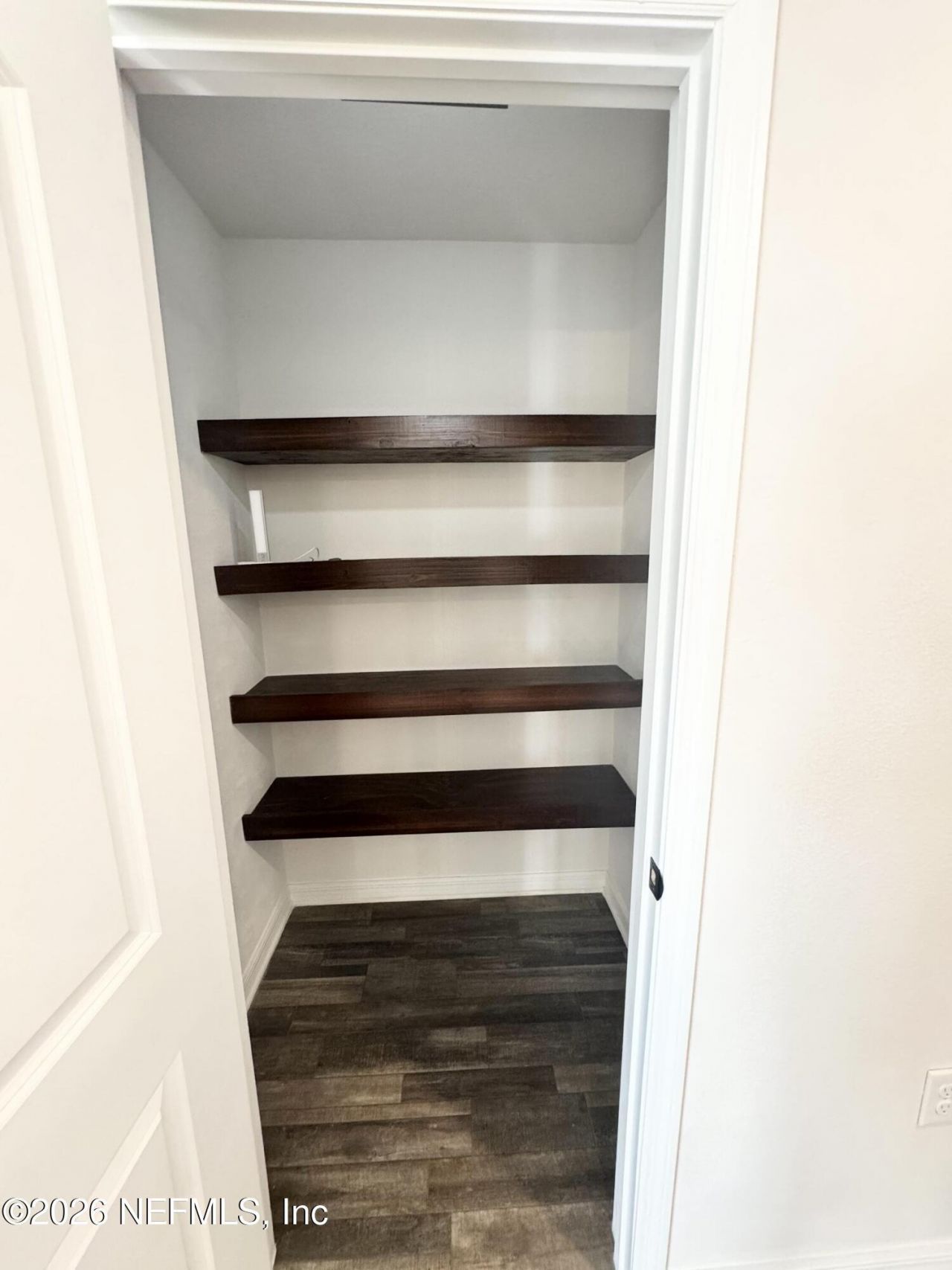 575 River Hill Drive, Welaka, FL 32193 Photo