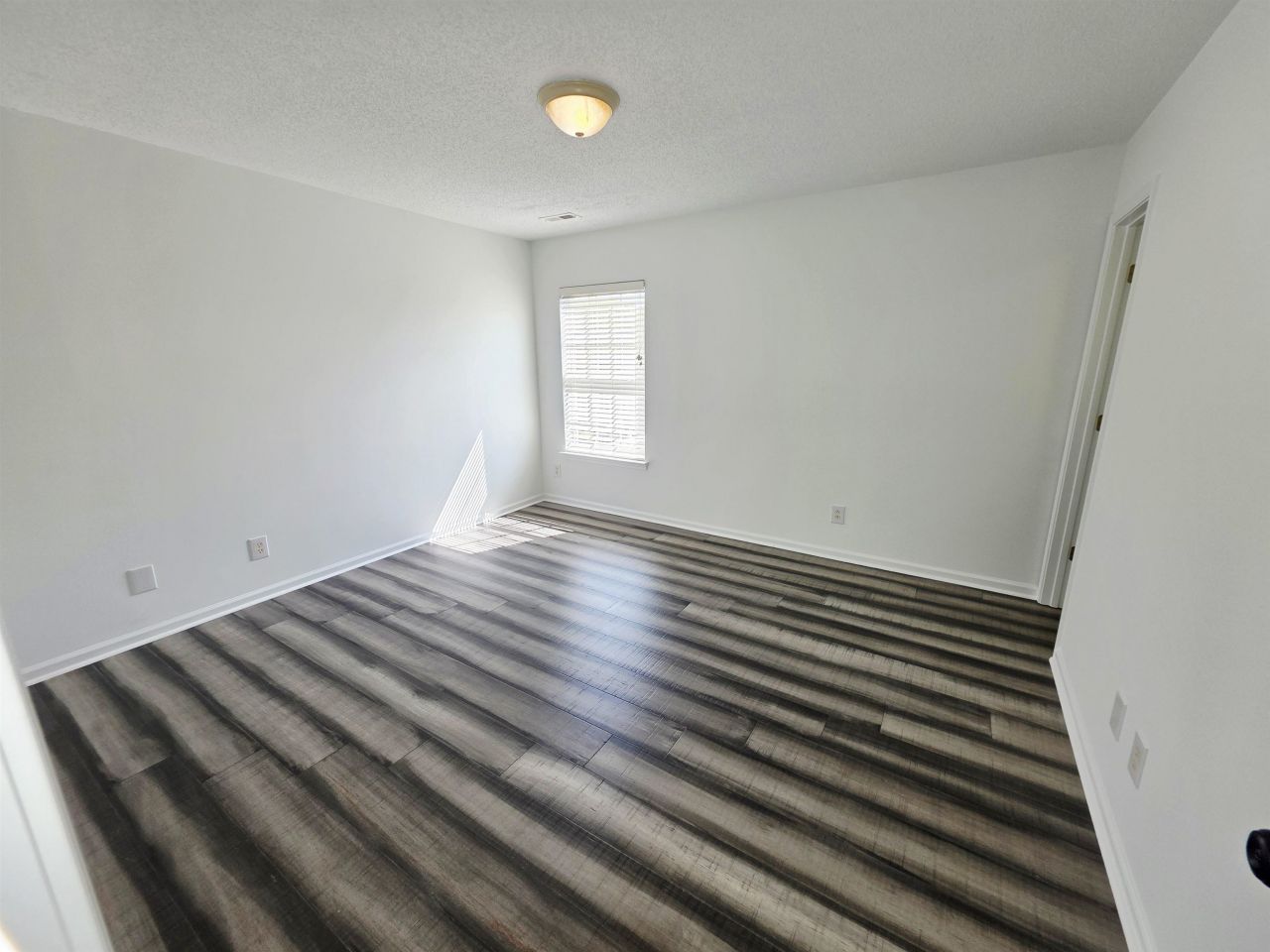 221 Palmetto Glen Dr. Photo 29