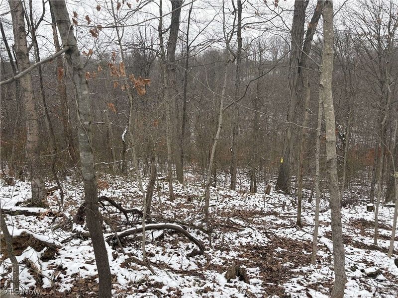 State Rt 555, Cutler, OH 45724 Photo 4