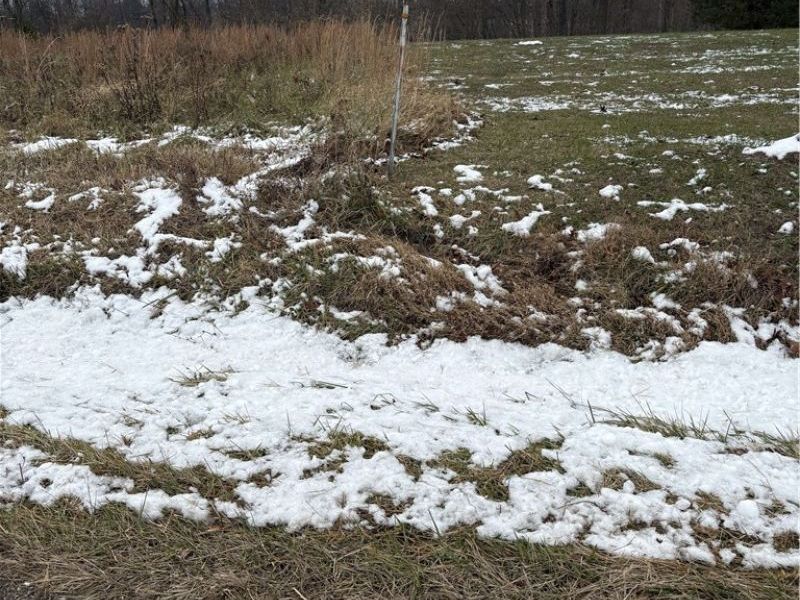 State Rt 555, Cutler, OH 45724 Photo 5