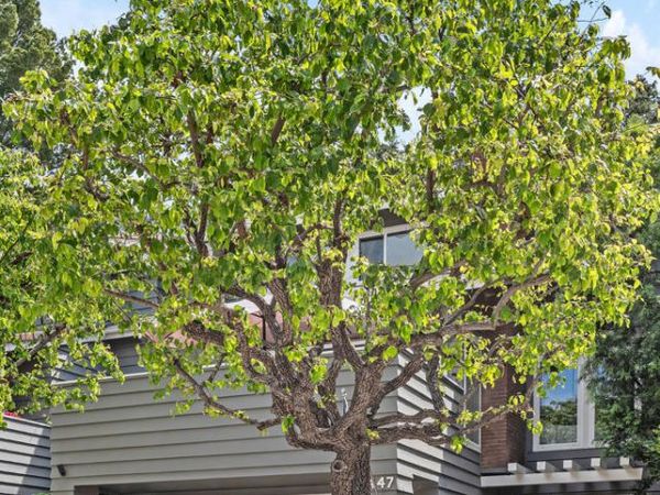 1447 N View Drive, Unit 56, Westlake Village, CA 91362