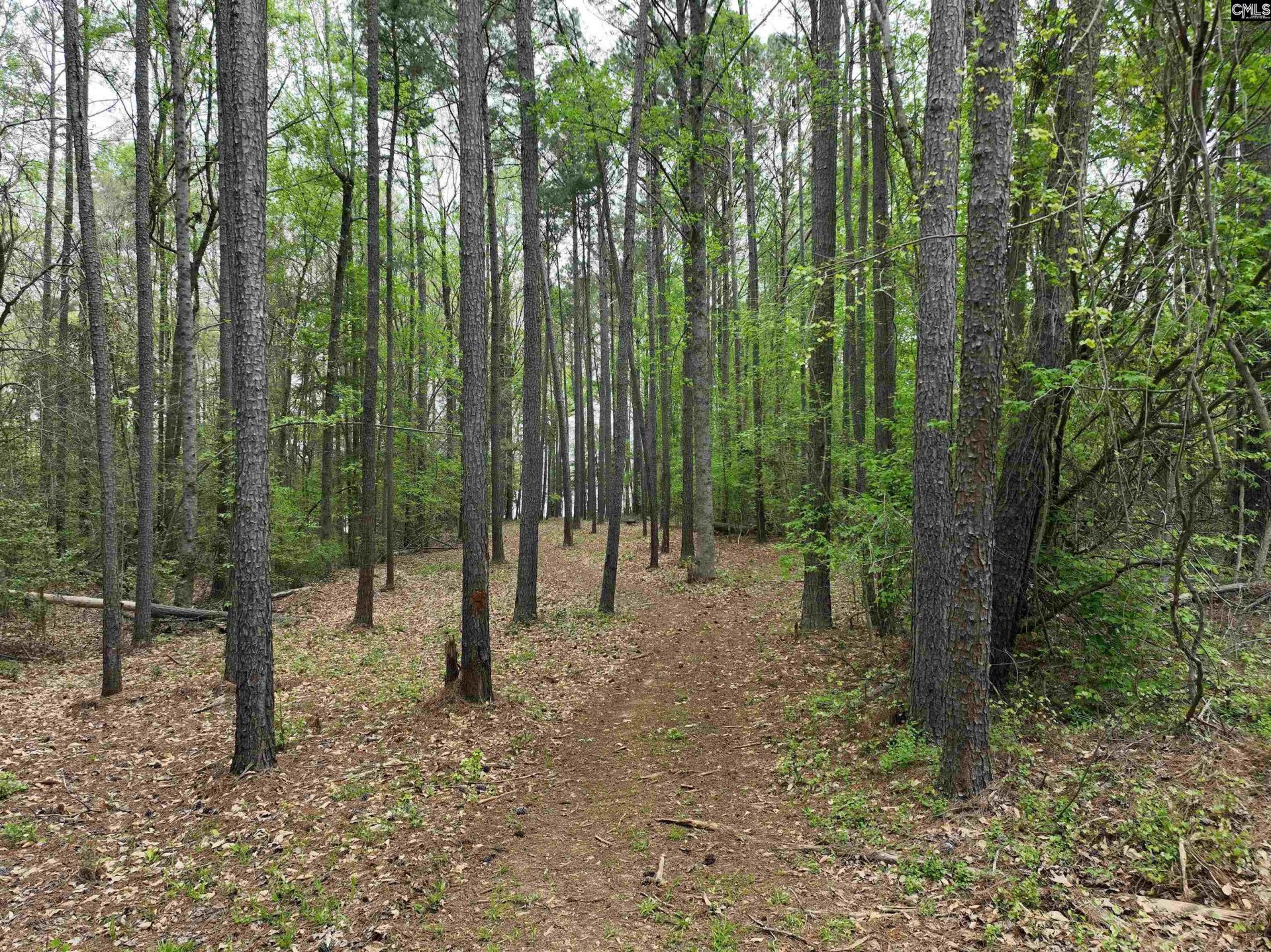 000 Fannie Black Photo 10