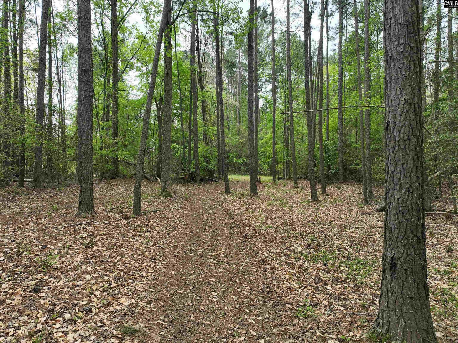 000 Fannie Black Photo 16