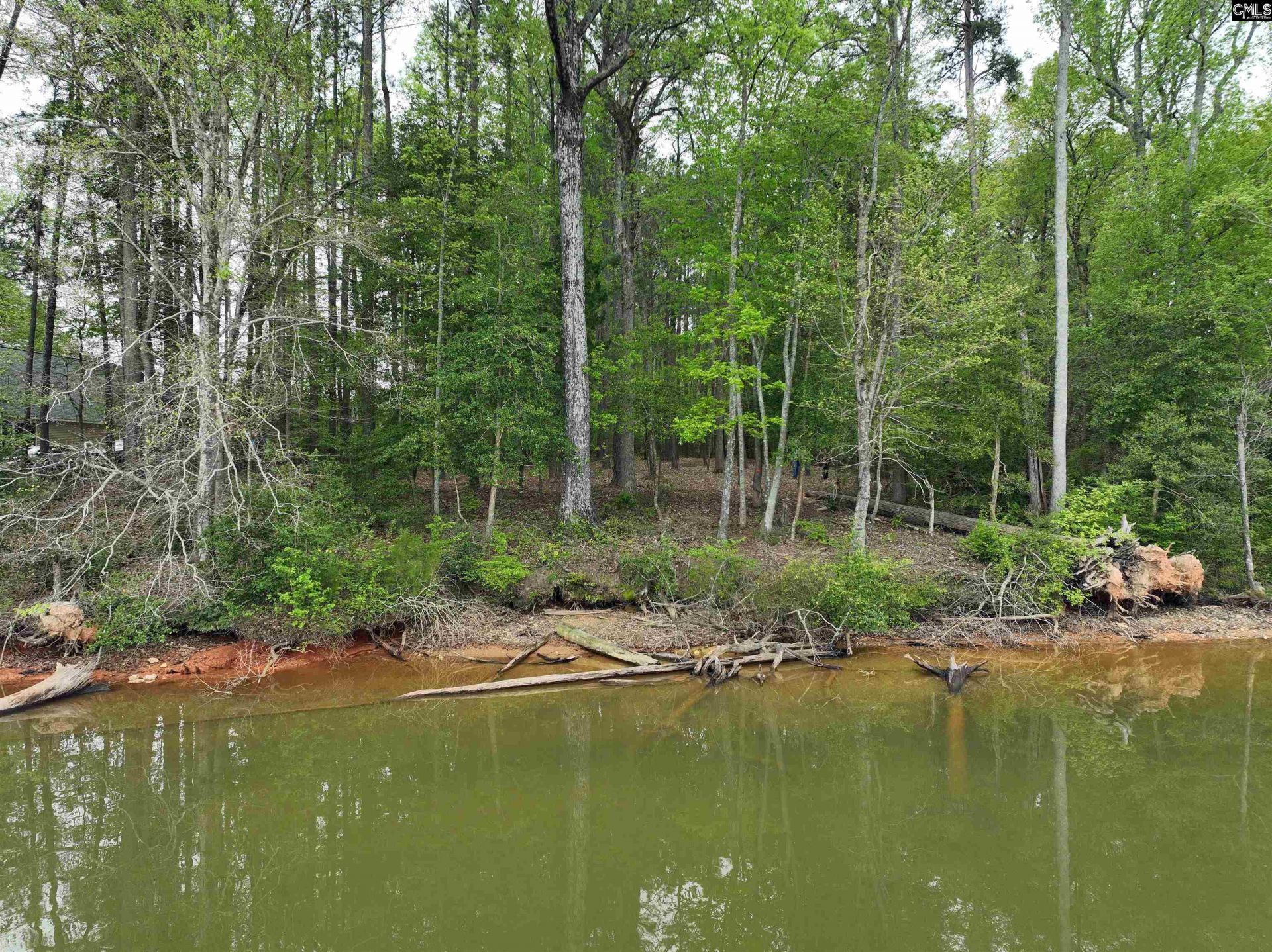 000 Fannie Black Photo 18