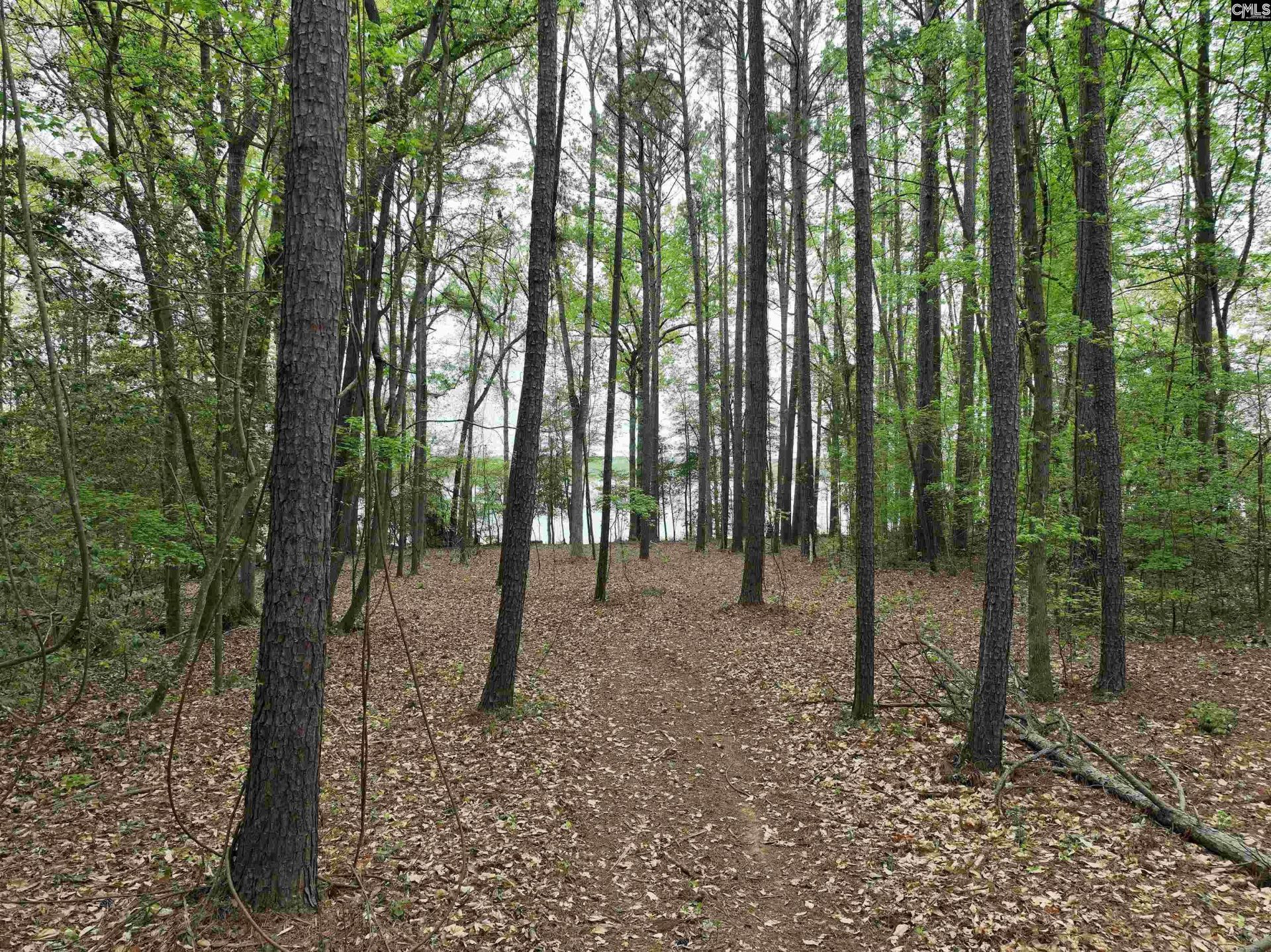 000 Fannie Black Photo 25