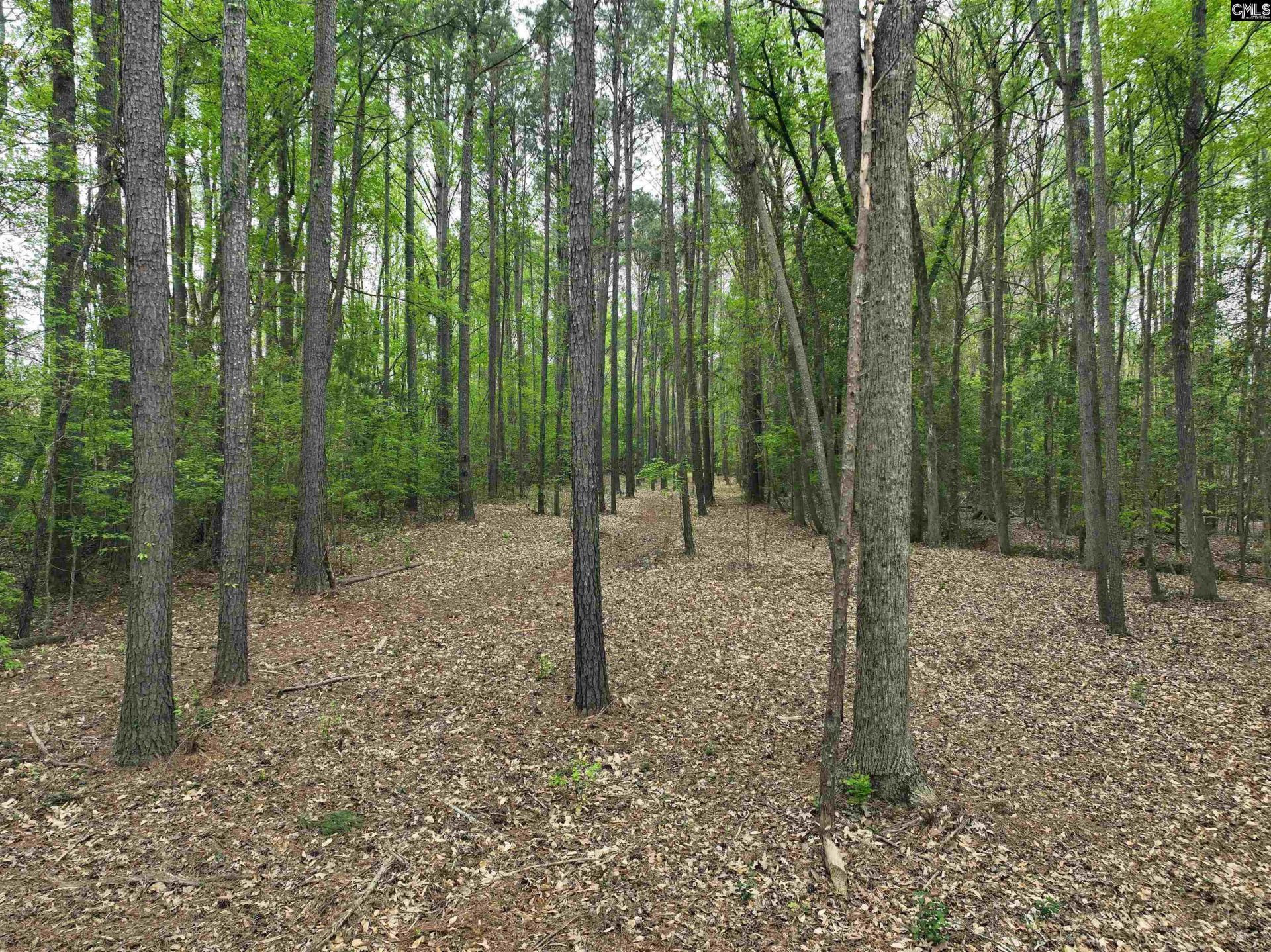 000 Fannie Black Photo 8