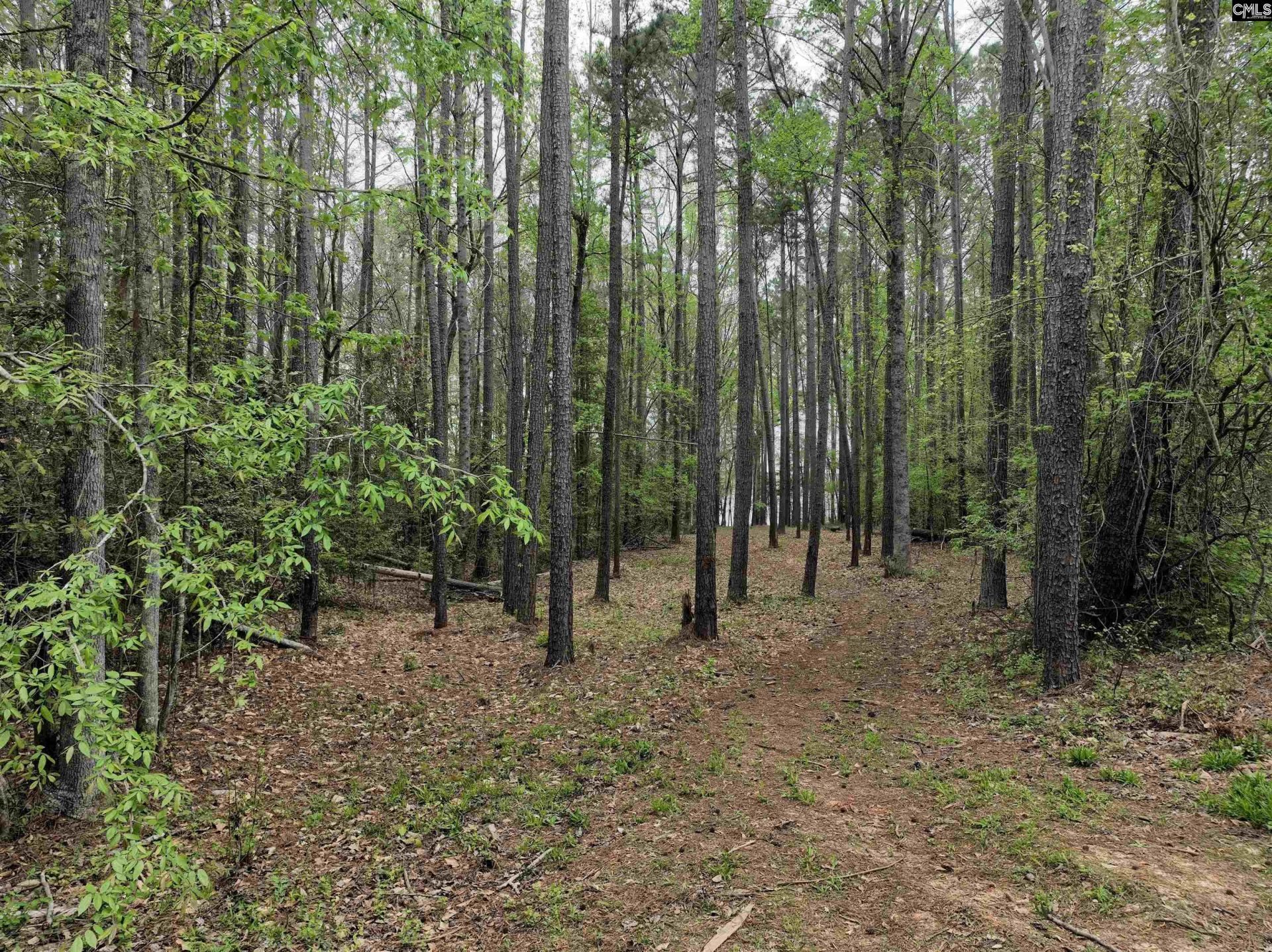 000 Fannie Black Photo 9