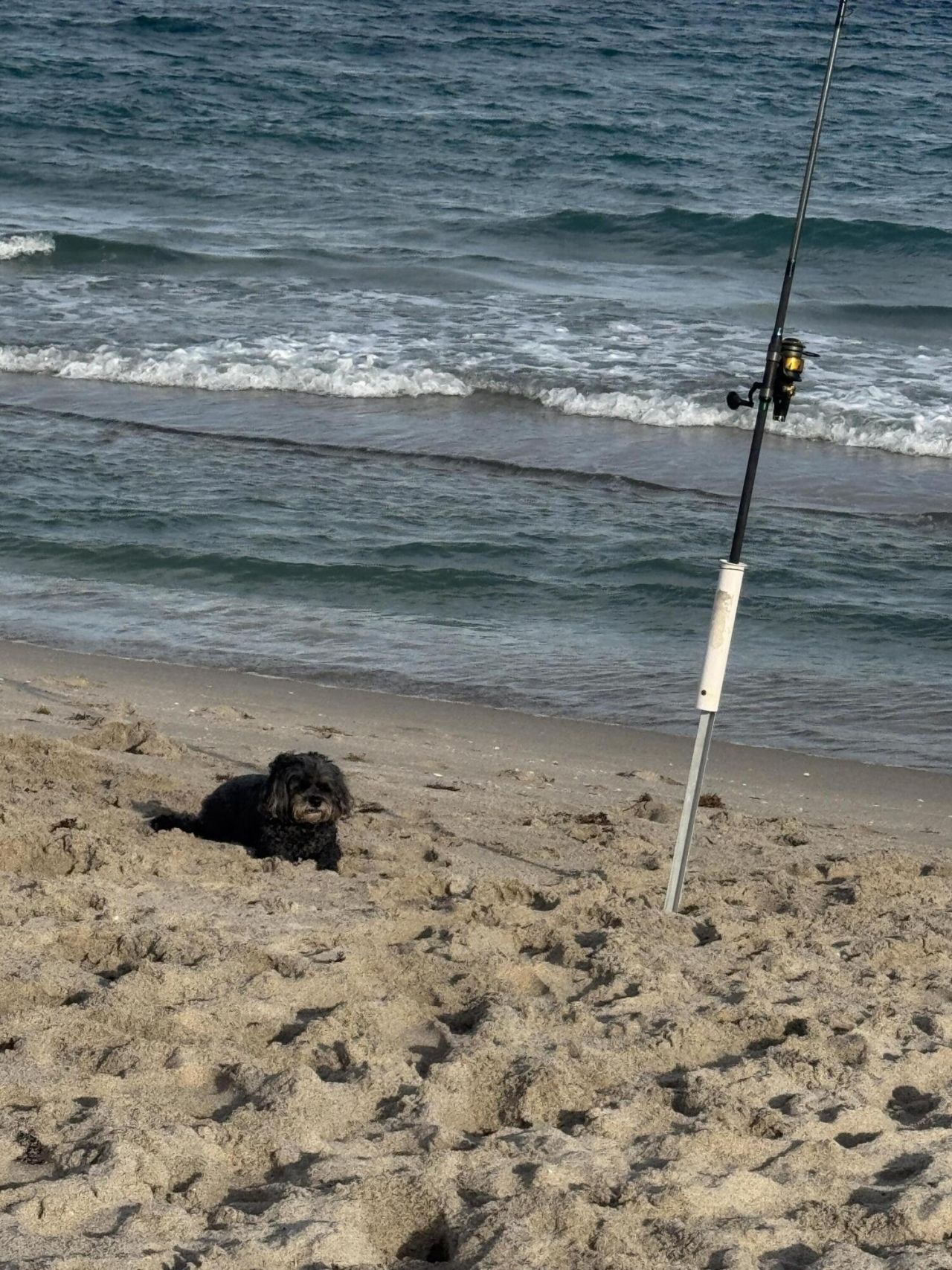 1041 Hillsboro Mile, Unit 18, Hillsboro Beach, FL 33062 Photo