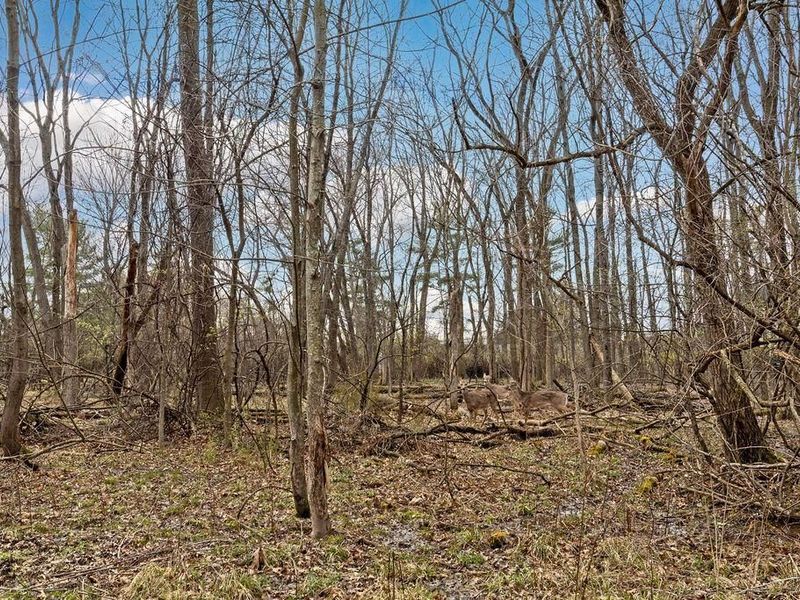 132-136 Highland Avenue , Worthington, OH 43085 Photo 37