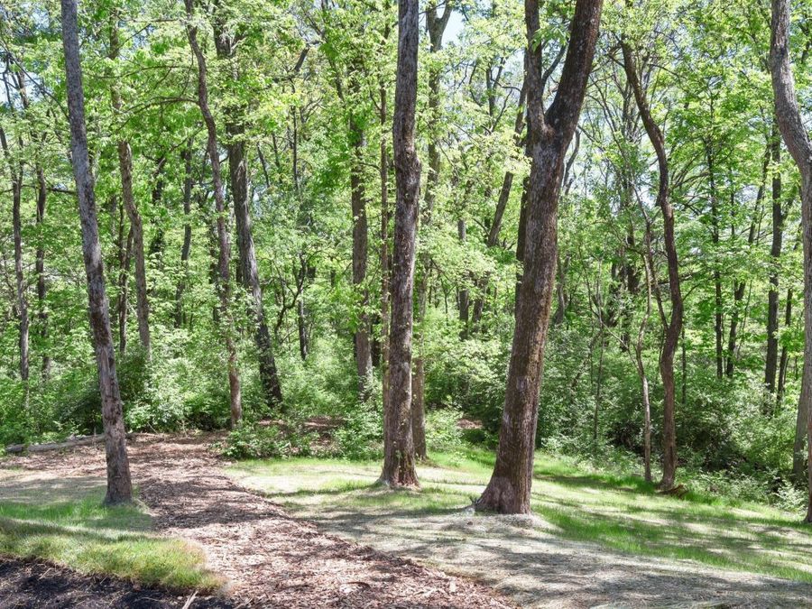 Property Image 67