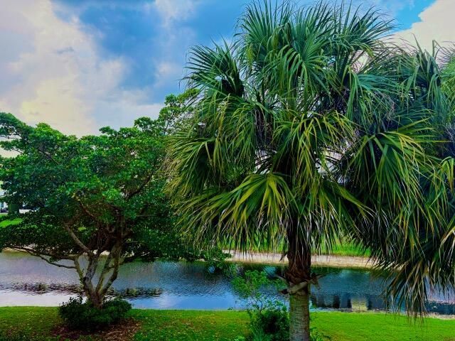 6703 Via Regina, Boca Raton, FL 33433 Photo