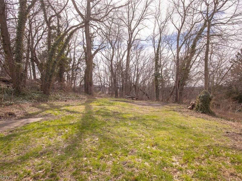 1184 Niagara Avenue, Akron, OH 44305 Photo 18