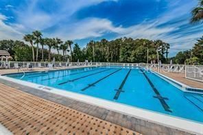 3521 Teeside Drive, New Port Richey, FL 34655 Photo