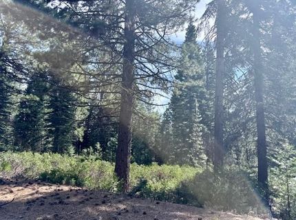 78 Fox Head Drive, Lot #FR, Lake Almanor, CA 00000 Photo