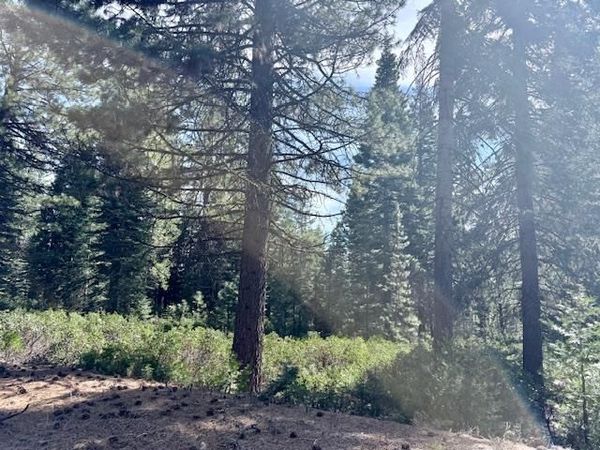 78 Fox Head Drive, Unit FR, Lake Almanor, CA 00000
