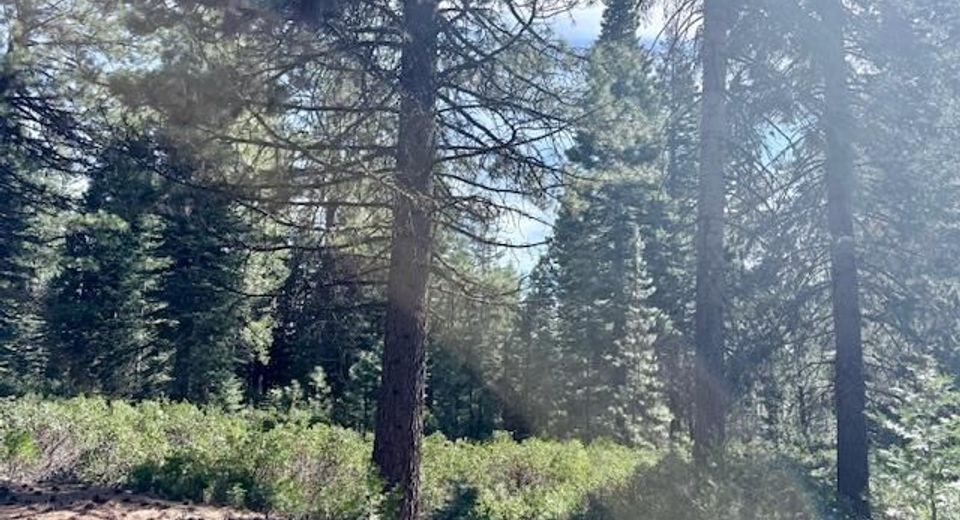 78 Fox Head Drive, Lot #FR, Lake Almanor, CA 00000 Photo