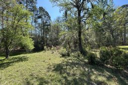 5795 Dixie Plantation Road photo 4