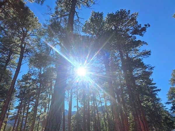 Zorn Rd, Rye, CO 81069