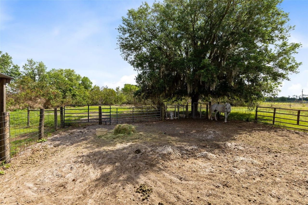 3591 N Canoe Creek Road , Kenansville, FL 34739 Photo