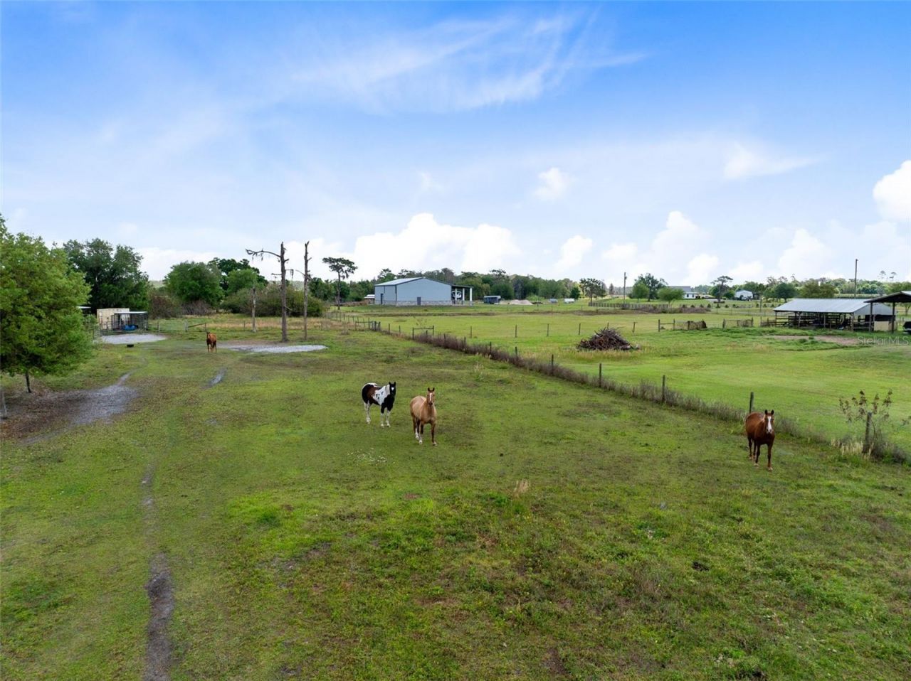 3591 N Canoe Creek Road , Kenansville, FL 34739 Photo