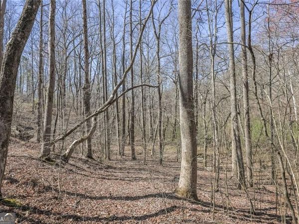 LOT 62 Cherokee Wood Hollow Drive, Ball Ground, GA 30107