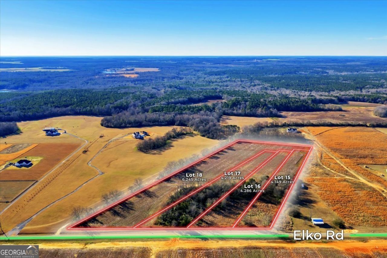 2587 (lot 18) Elko Road, Elko, GA 31025 Main Photo