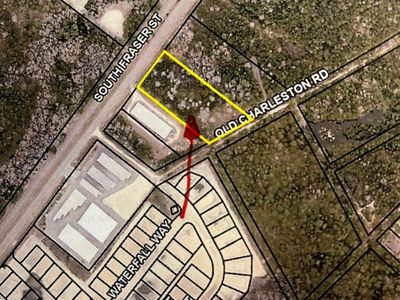 LOT 11-TBD Old Charleston Rd., Georgetown, SC 29440