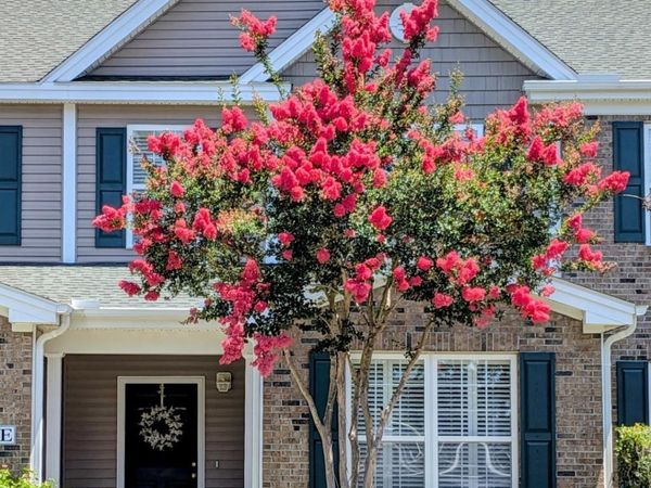 147 Chenoa Dr., Unit E, Murrells Inlet, SC 29576