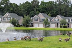 147 Chenoa Dr. photo 4