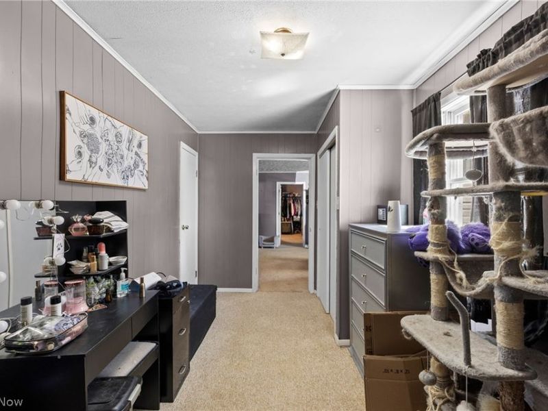 48499 Fairpoint Maynard Road, Saint Clairsville, OH 43950 Photo 19