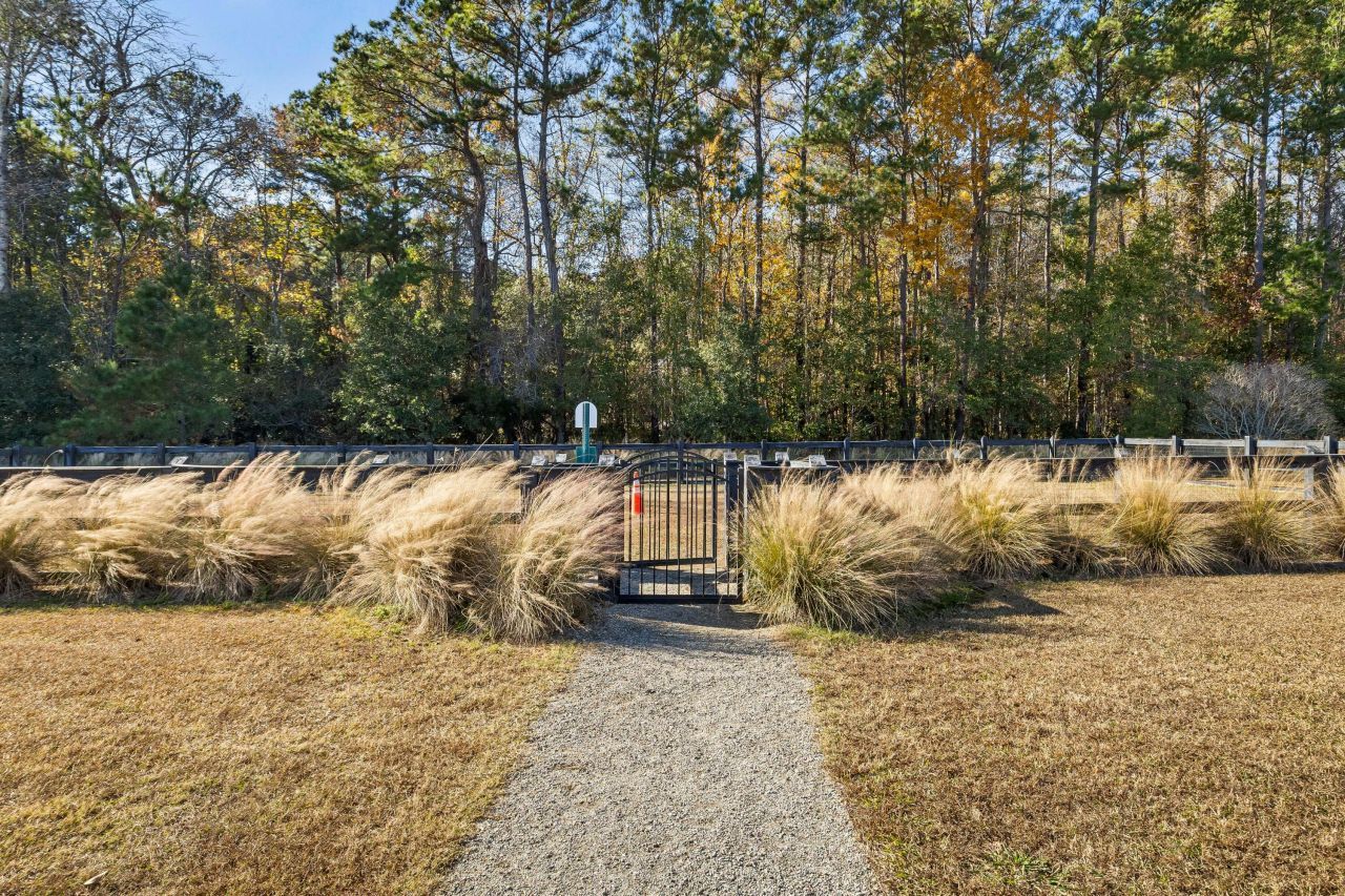 1131 Oak Bluff Avenue Photo 34