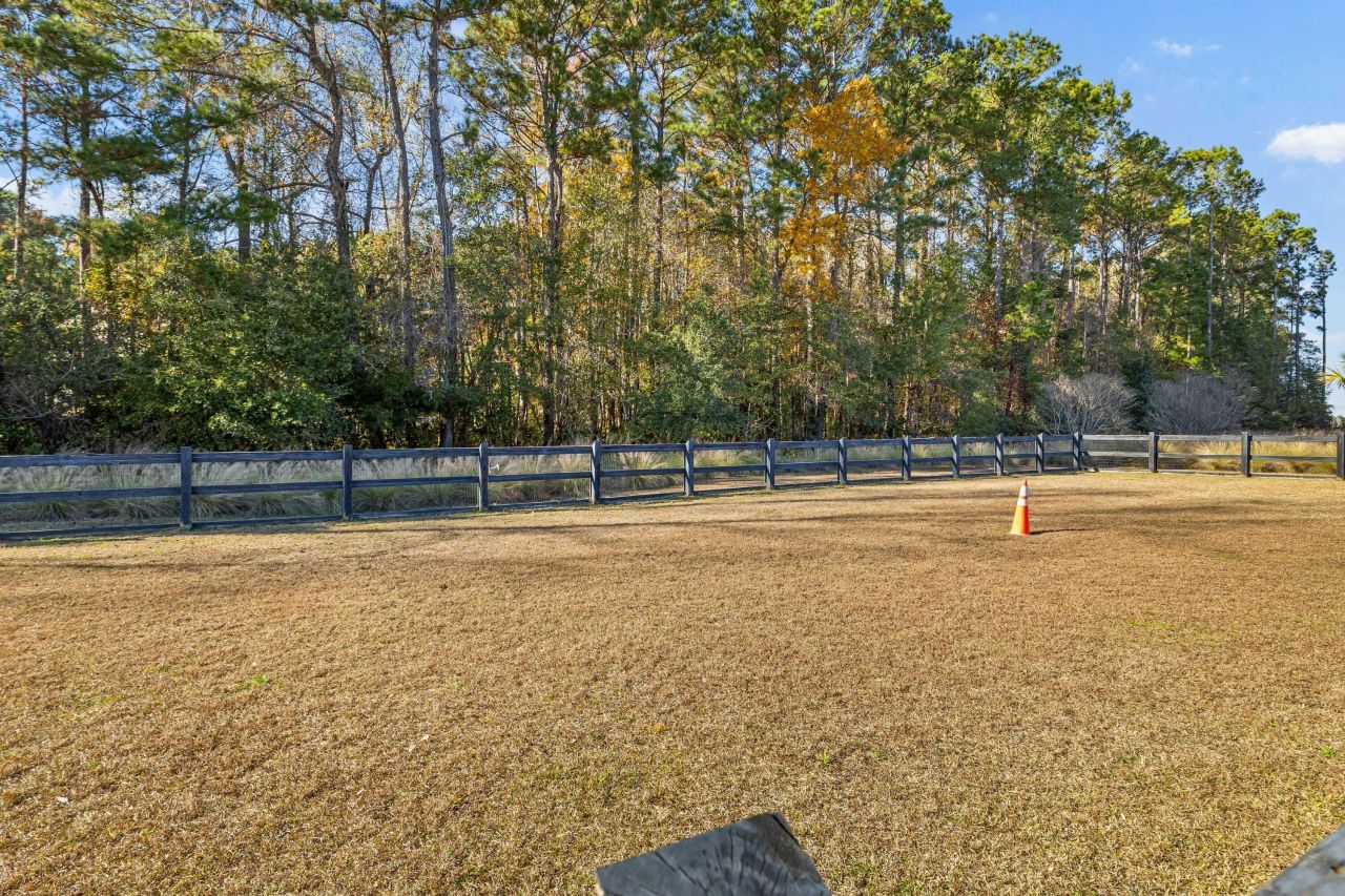 1131 Oak Bluff Avenue Photo 35