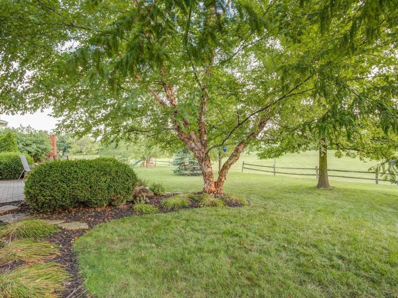 1589 Morrison Farms Drive, Blacklick, OH 43004 Photo 45