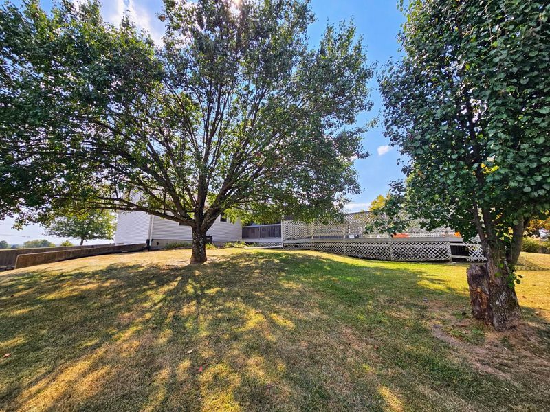 3000 US Highway 325, Worthville, KY 41098 Photo 42