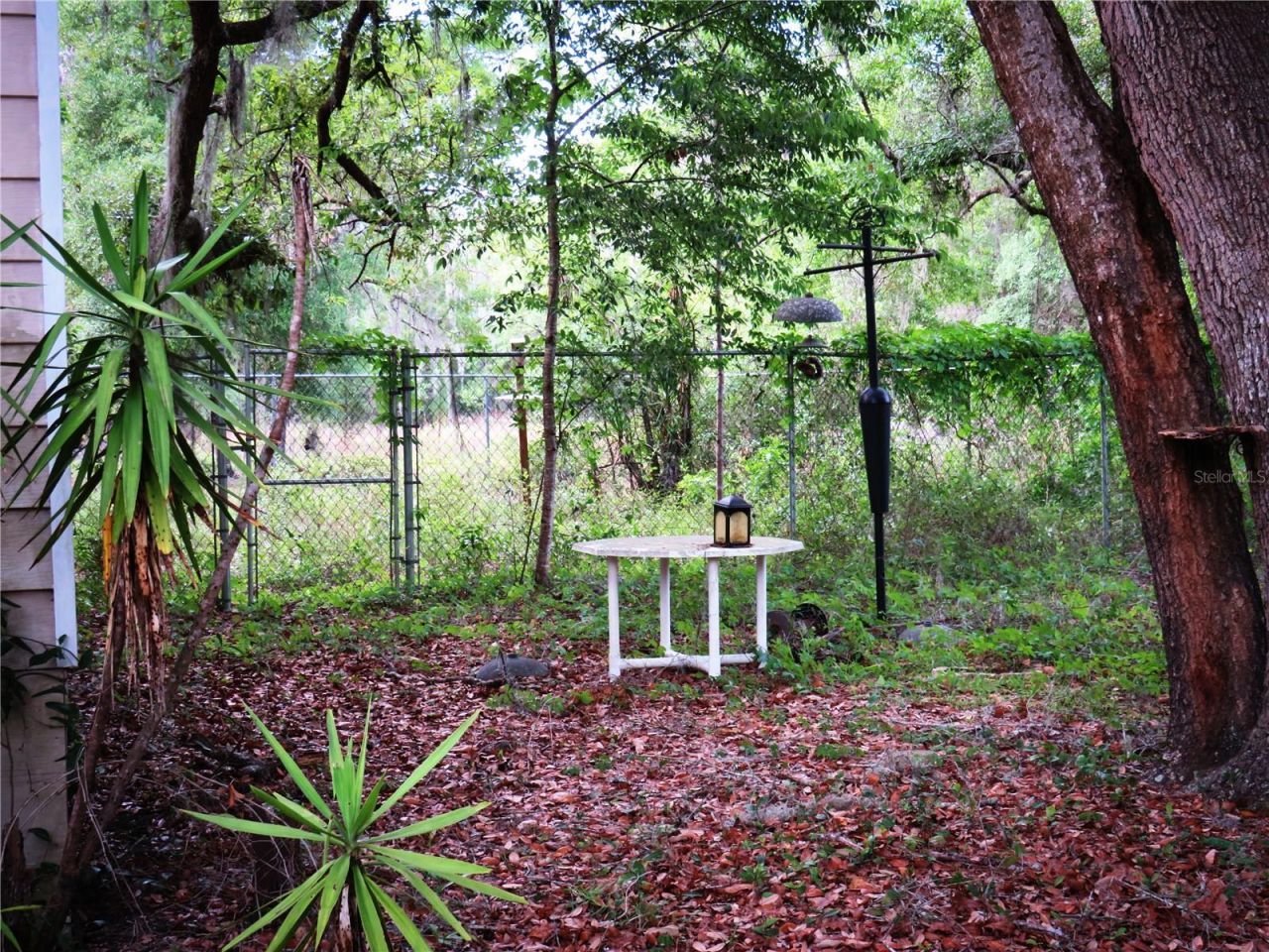 118 Millcreek Drive, Melrose, FL 32666 Photo