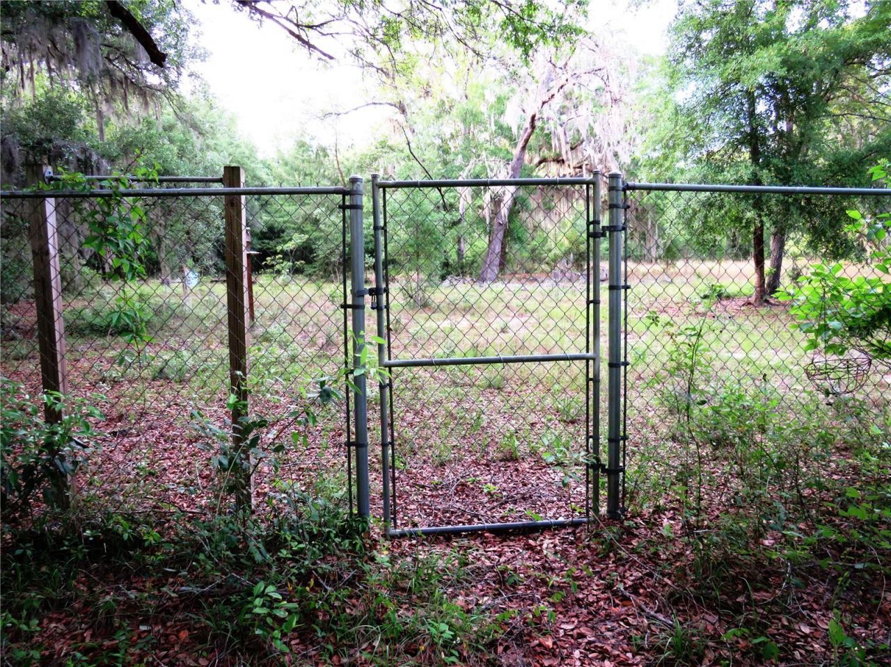 118 Millcreek Drive, Melrose, FL 32666 Photo